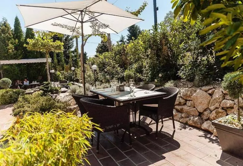 Fotos del hotel Villa Rosa Boutique:  4