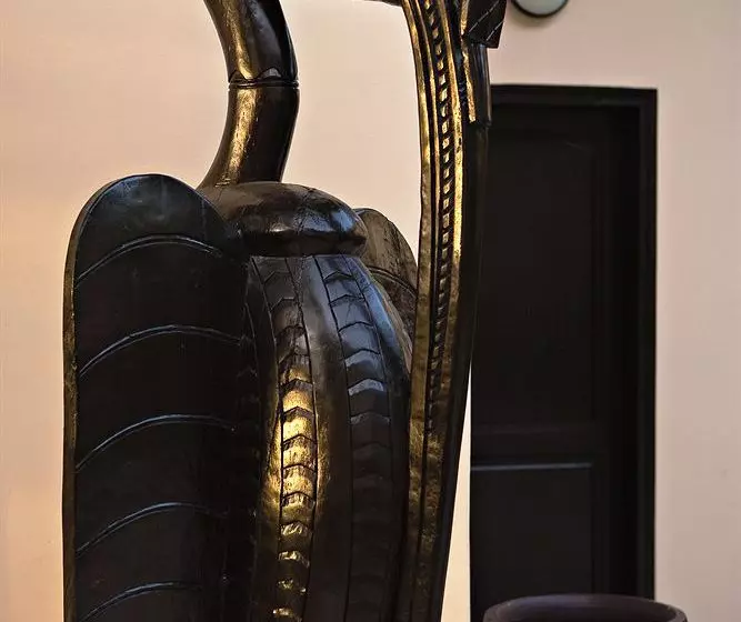 Fotos del hotel Les Alizes Beach Resort:  7