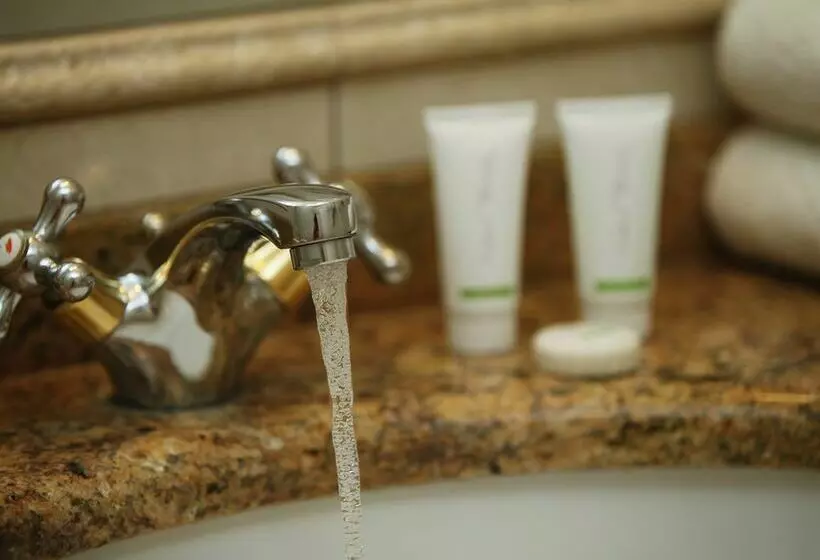 Fotos del hotel Aramis:  8