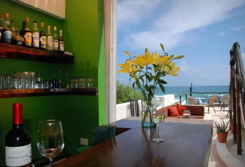 Fotos del hotel Casa Ixchel:  14