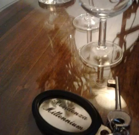 Fotos del hotel Residenza Millennium:  3