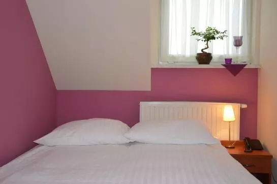 Fotos del hotel Vistula:  21