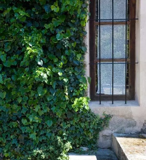 Fotos del hotel Agroturismo Vall De Pollensa:  14