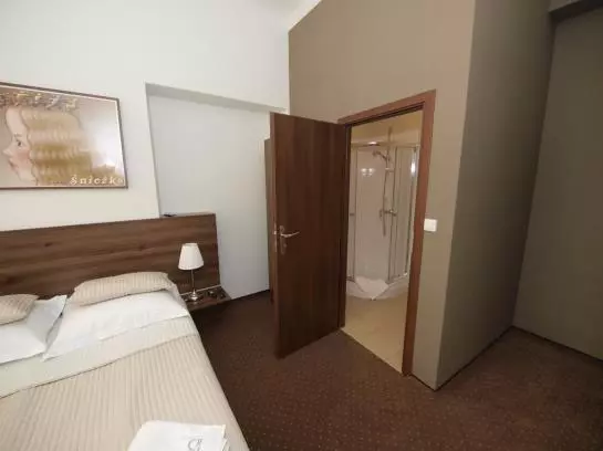 Fotos del hotel Ingo Apart:  4