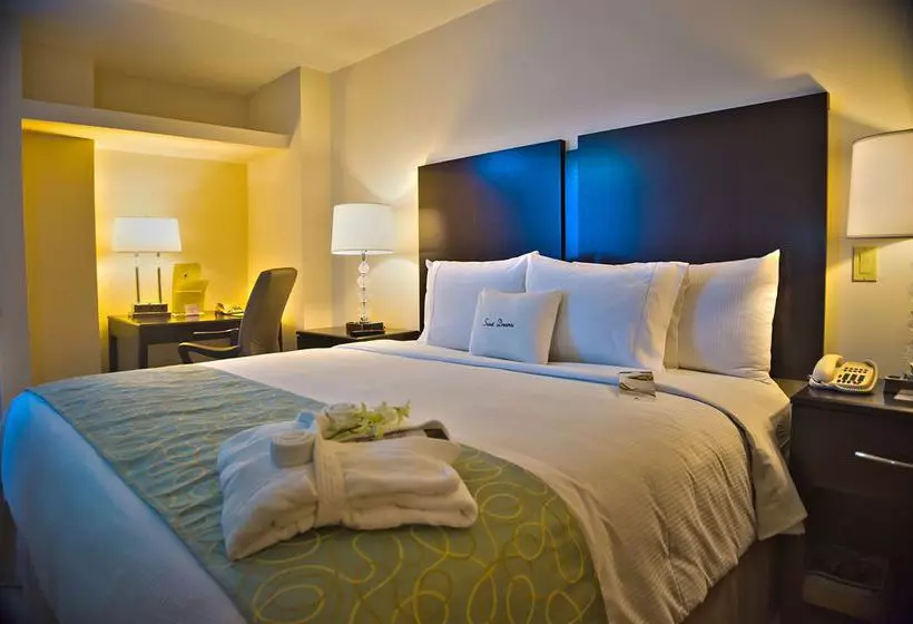 Doubletree By Hilton Panama City