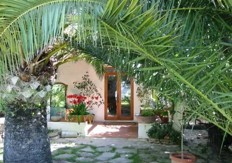 Fotos del hotel Al Zaraq:  10