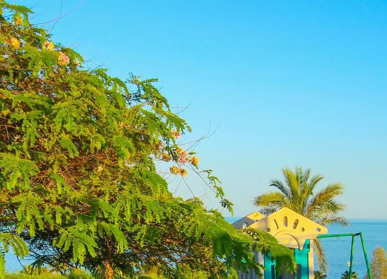 Fotos del hotel Le Mirage New Tower:  24