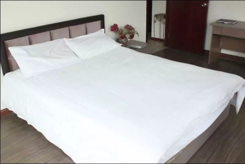 Fotos del hotel Fortune Business:  4