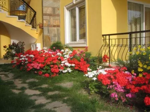 Fotos del hotel Partmezzo Apart:  4