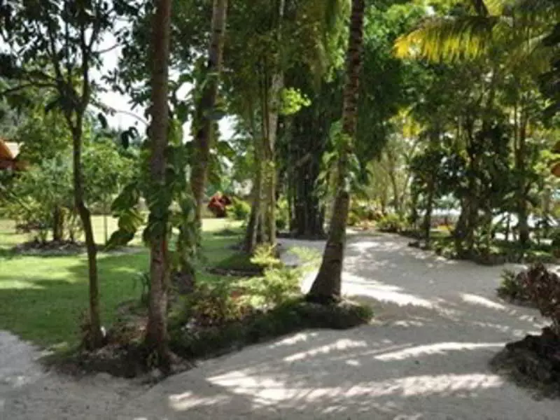 Fotos del hotel Tiki Beach Resort:  6