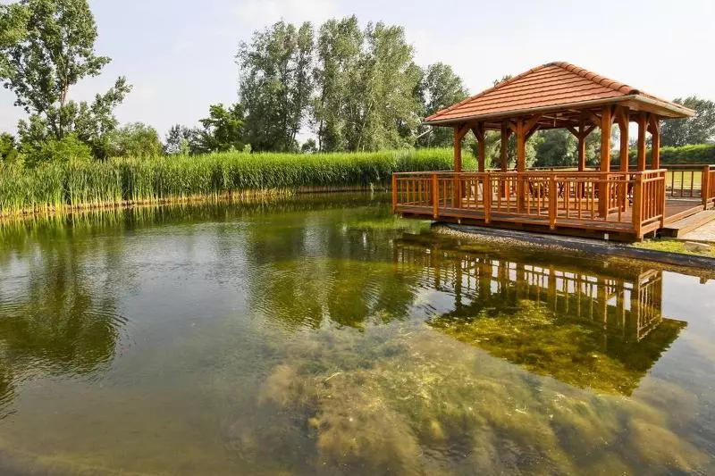 Fotos del hotel Vis Vitalis Medical Wellness:  3