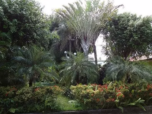 Fotos del hotel Olman's View Resort:  11