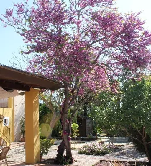 Fotos del hotel Agroturismo Son Estrany:  5