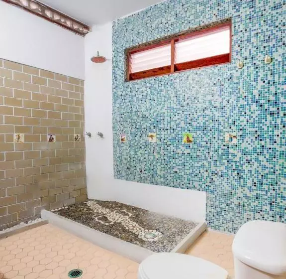 Fotos del hotel Miami Acapulco:  7