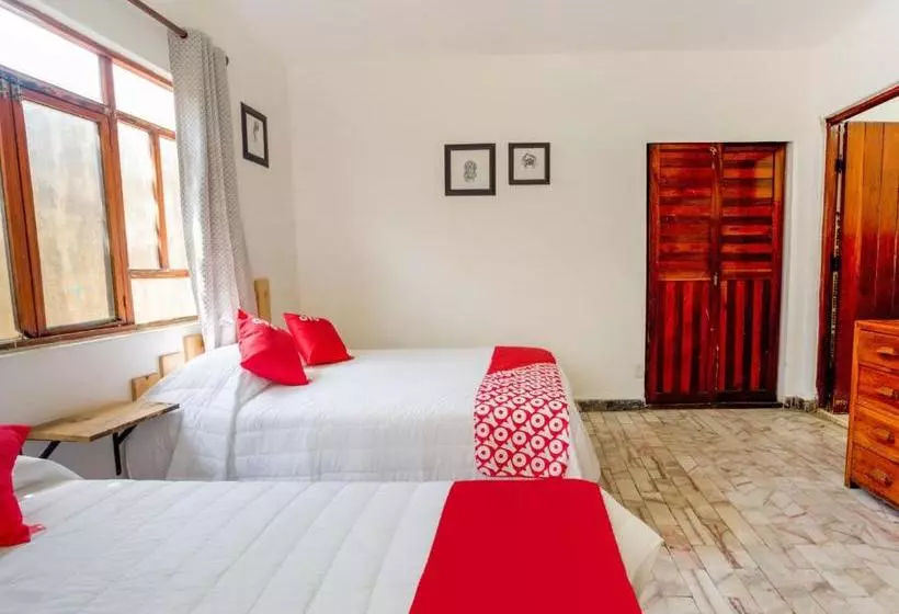 Fotos del hotel Miami Acapulco:  11