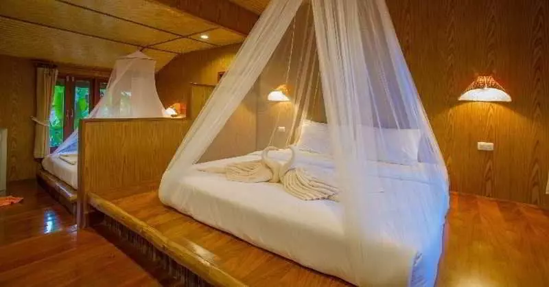 The Cliff & River Jungle