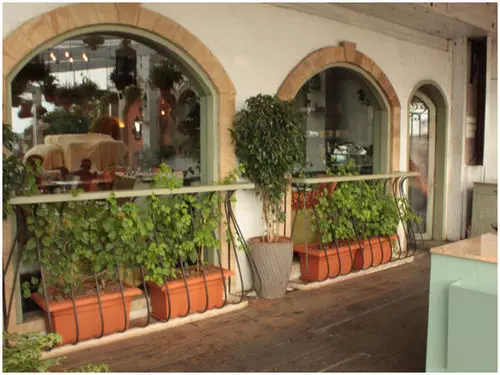 Fotos del hotel Beach Garden:  19