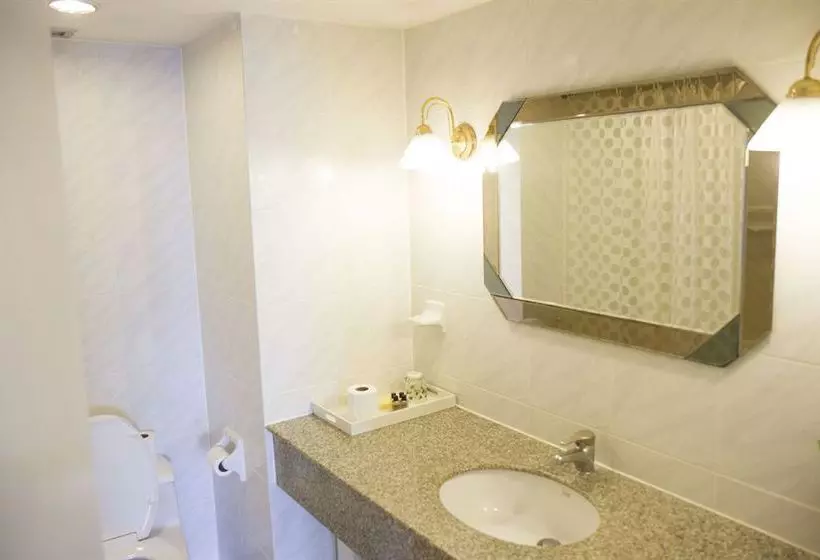 Fotos del hotel Omni Syncate Suites:  17