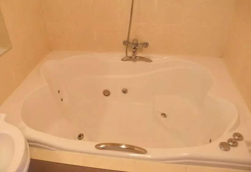 Fotos del hotel Shinsung:  16