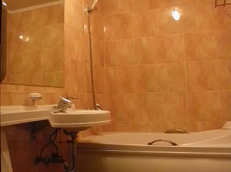 Fotos del hotel Shinsung:  7