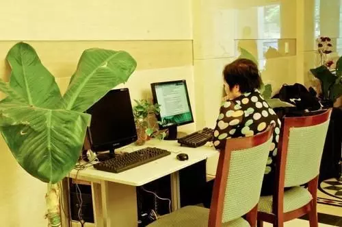 Fotos del hotel Thanh Truong:  4