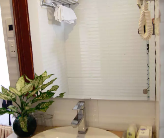 Fotos del hotel Thanh Truong:  11