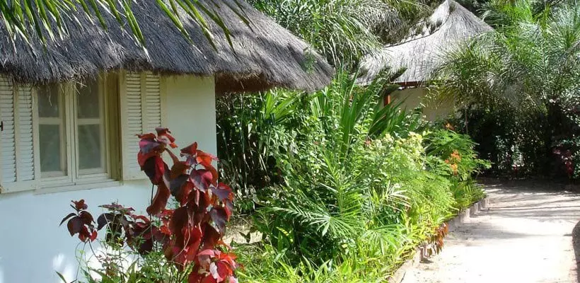 Fotos del hotel La Paillote:  4