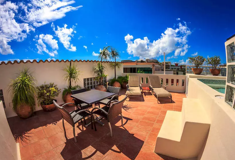 Fotos del hotel Royal Palms By Bric:  9