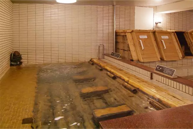 Fotos del hotel Isshinkan:  4