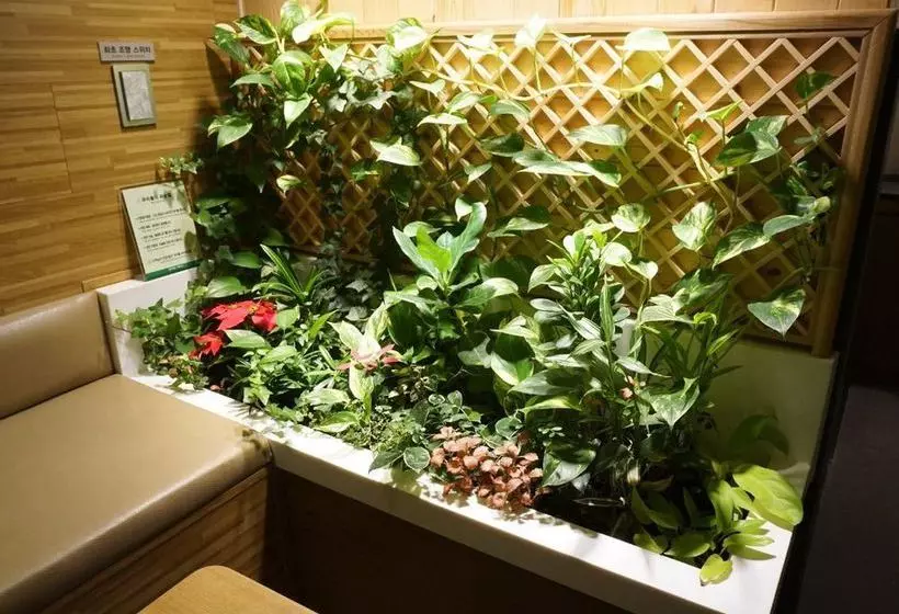 Fotos del hotel Polo:  8