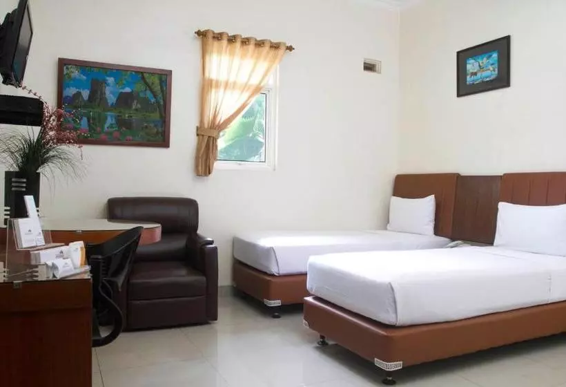 House Of Arsonia Bougainvillea