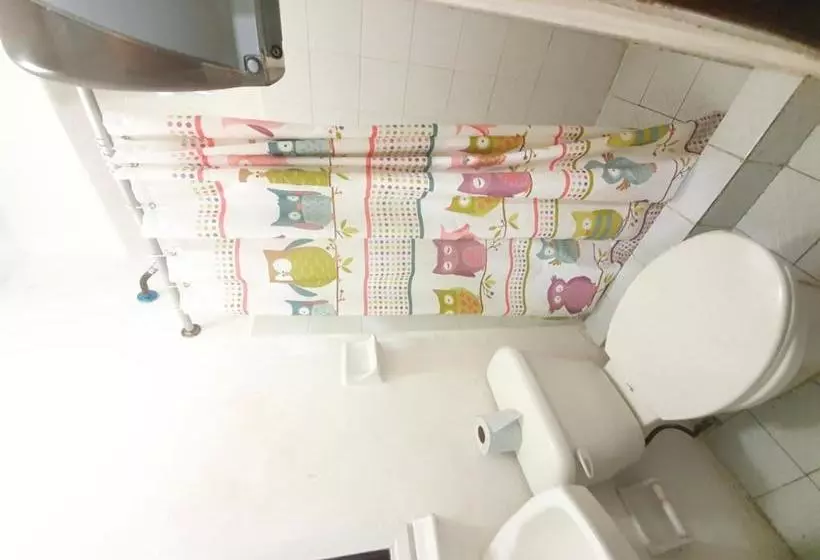 Fotos del hotel Colonial San Carlos:  4