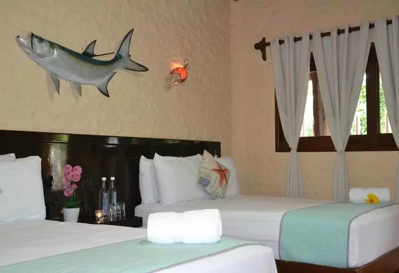Fotos del hotel Moon Dreams Yum Balam:  2