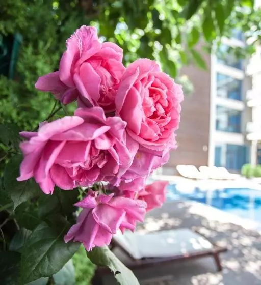 Fotos del hotel Sun Gate Apart:  12