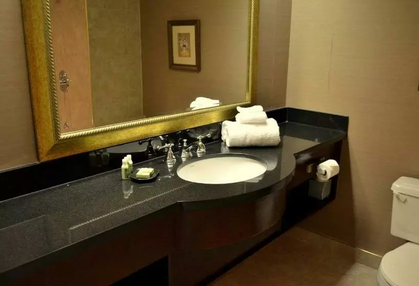 Fotos del hotel Best Western Plus Ottawa Downtown Suites:  8