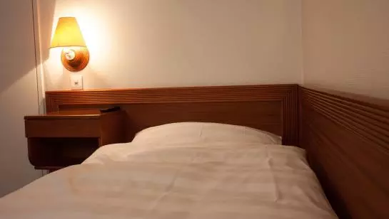 Fotos del hotel Hotel Palazzo:  10