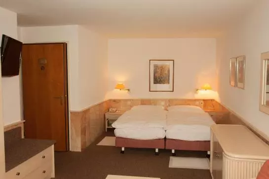 Fotos del hotel Hotel Palazzo:  11