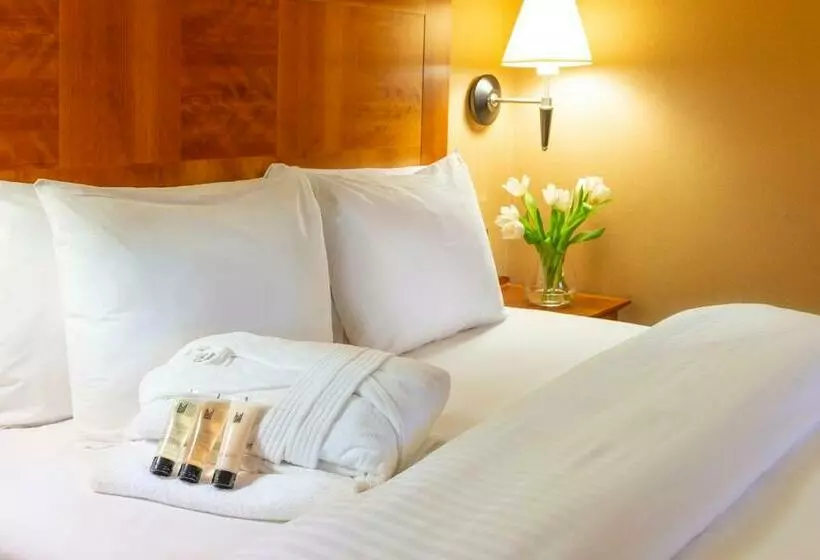 Copthorne Hotel Birmingham