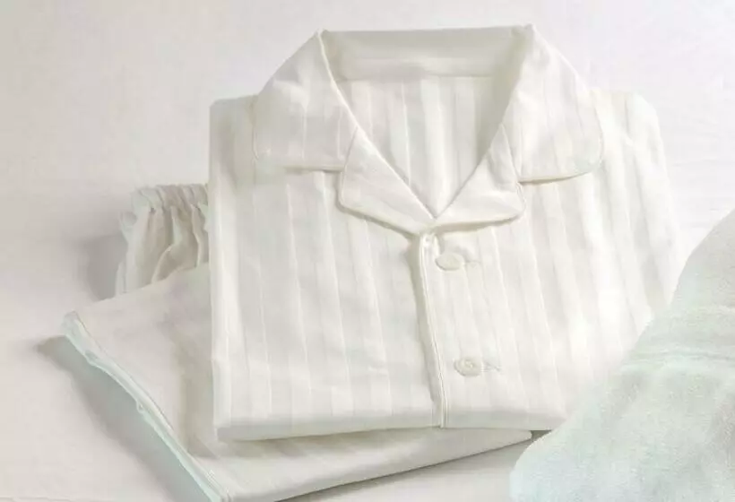 Fotos del hotel Nagoya Castle:  5