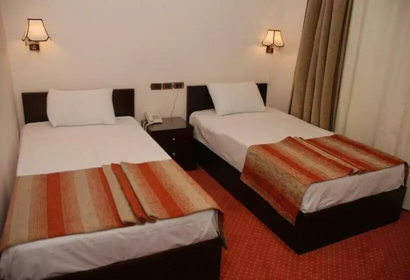 Fotos del hotel El Tonsy Cairo:  12