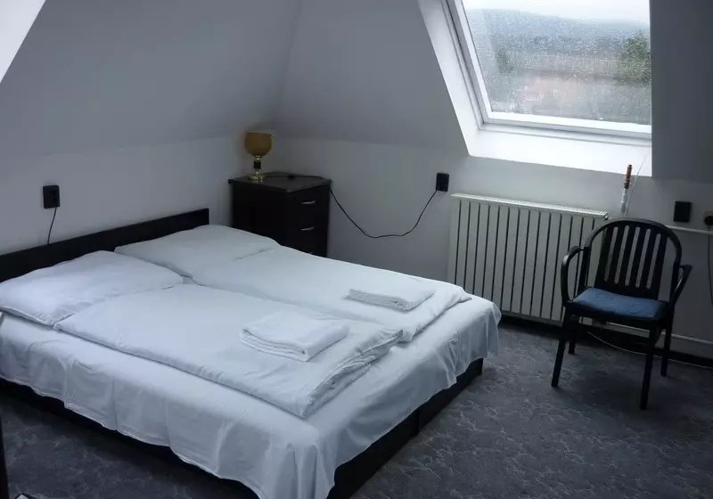 Fotos del hotel Budai:  18