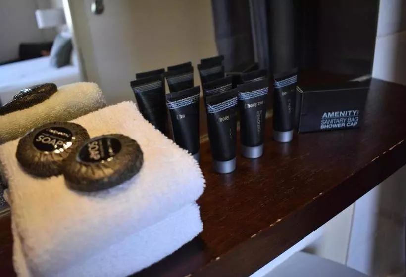 Fotos del hotel Ansonia On Lydiard:  15