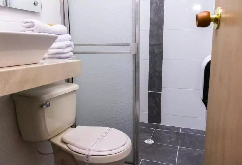 Fotos del hotel Plaza Imperial:  15