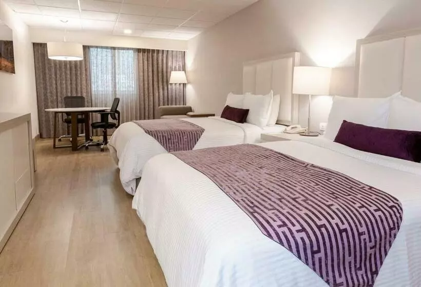 Fotos del hotel Antaris Galerias:  7