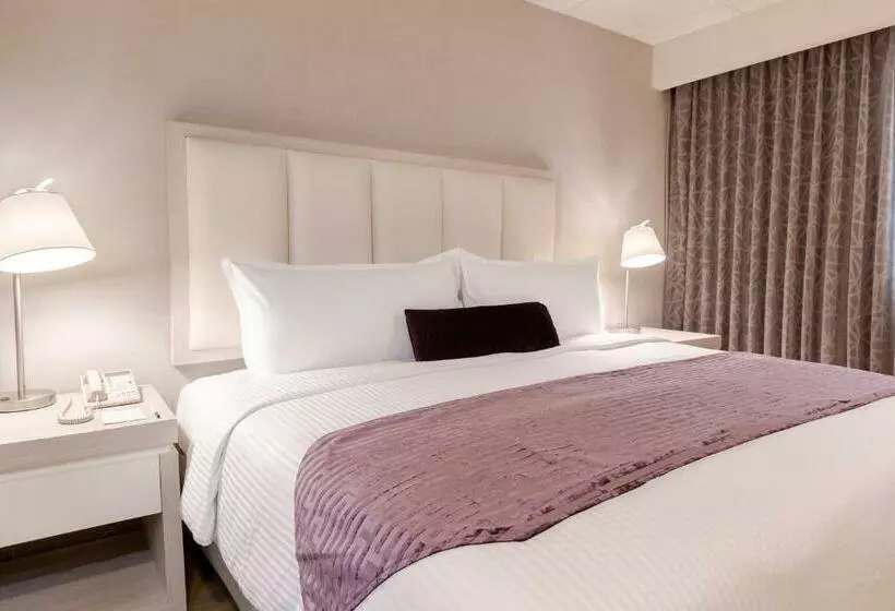 Fotos del hotel Antaris Galerias:  22