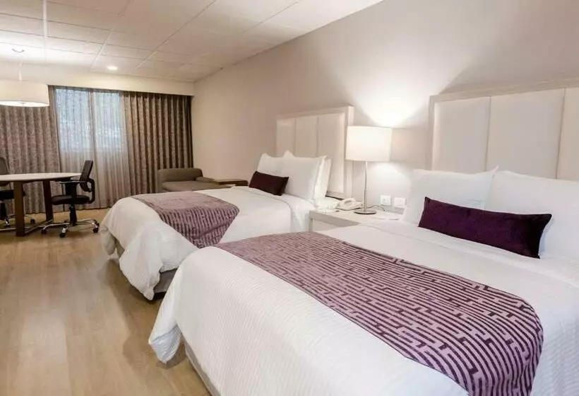 Fotos del hotel Antaris Galerias:  20