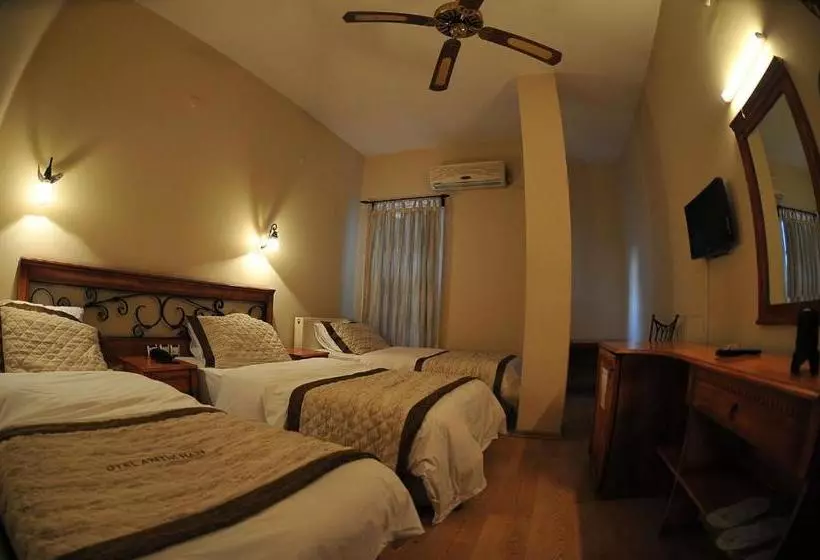 Fotos del hotel Antikhan:  24