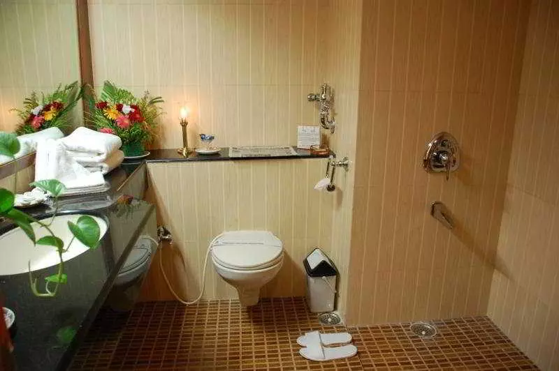 Fotos del hotel Shree Ram International:  6