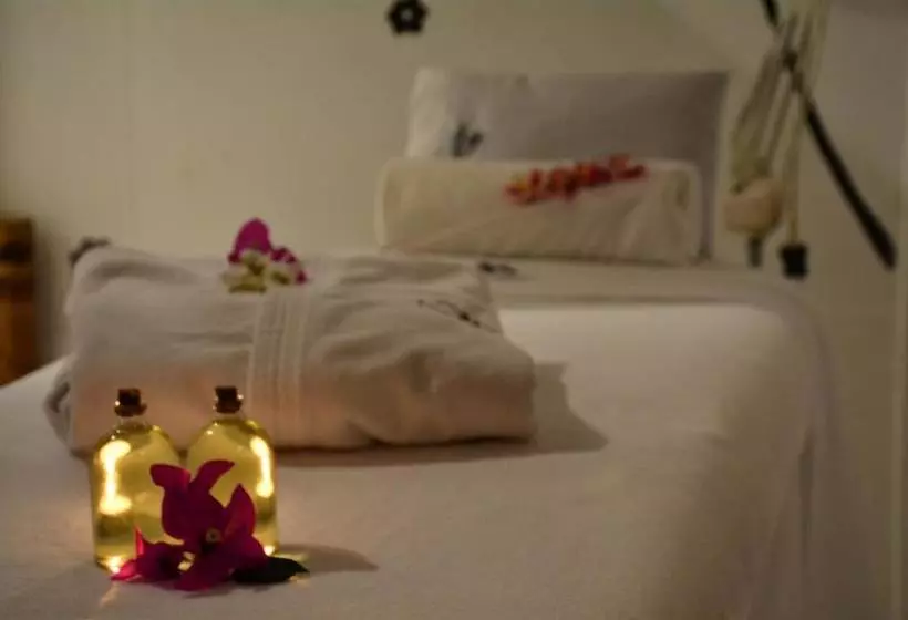 Fotos del hotel & Spa Doña Urraca San Miguel De Allende:  21