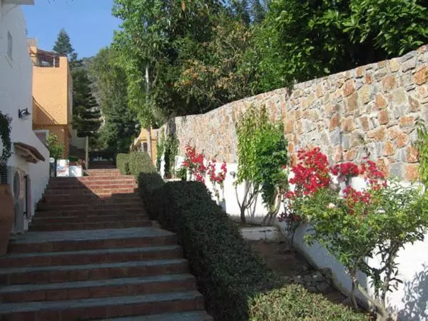 Fotos del hotel Sunrise Apartments:  5